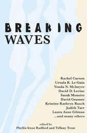 breakingwaves.jpg (27509 bytes)